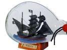 Thomas Tew's Amity Pirate Ship in a Glass Bottle 7""