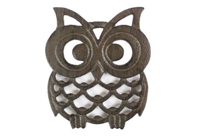 Cast Iron Owl Trivet 8""