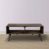 Betsy 42 Inch Reclaimed Wood Rectangle Farmhouse Coffee Table With Storage, Iron Legs, Natural Brown